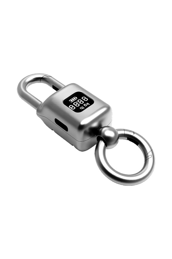 Keychain Kitchen Electronic Scale High Accuracy LCD Screen Multifunctional Weighing Tool For Cooking Shopping Travel