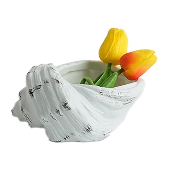 lanema Miniature Seashells Flower Pot For Indoor Plant And Home Garden Decoration