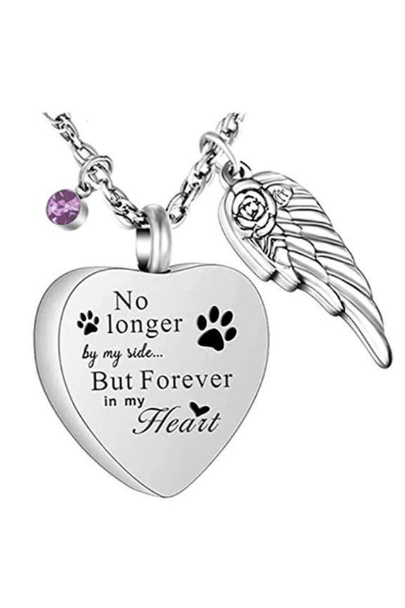 Sturdy Stainless Steel Heart Wing Locket Necklace for Ashes or Perfumes Sentimental Keepsakes for Memories Daily Use