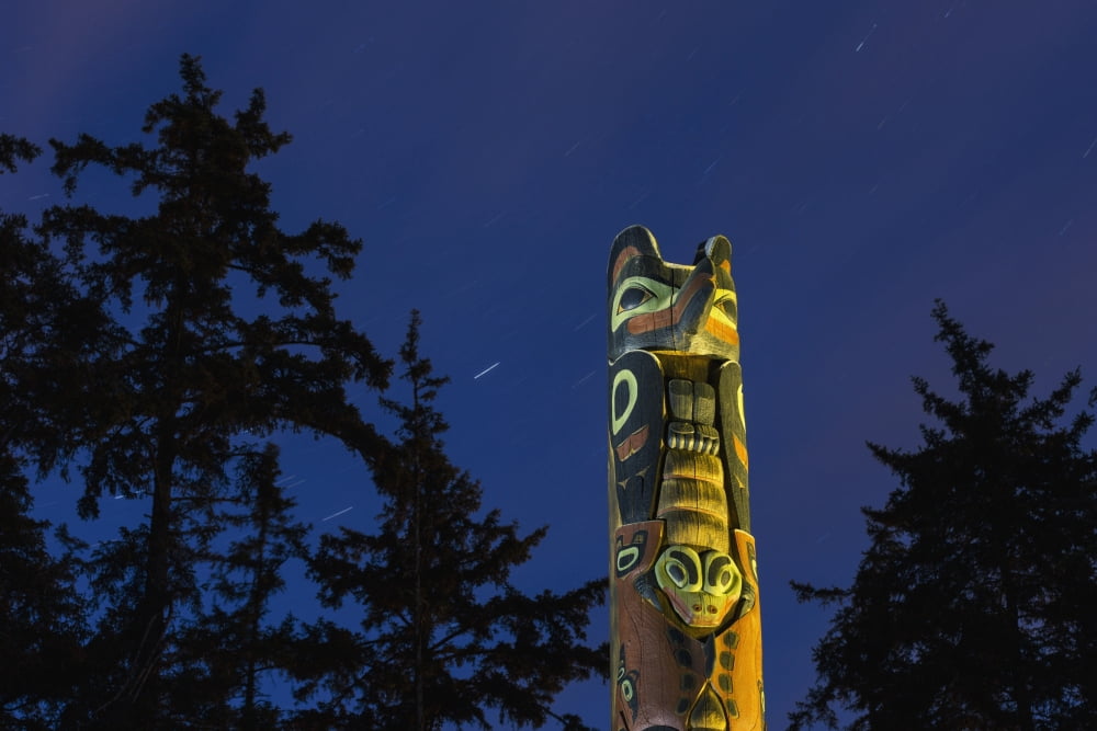 A large Totem Pole lit up at night in Sitka National Historic Park with star trails overhead Sitka Southeast Alaska USA Summer Canvas Art - Kevin Smith Design Pics (38 x 24)