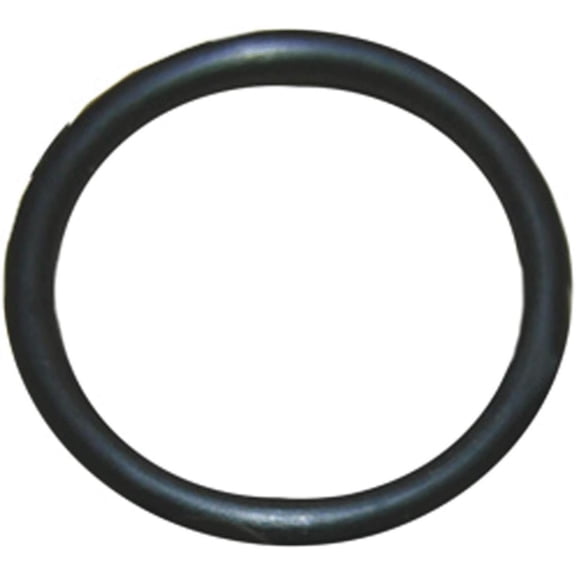 larsen supply co., inc. 02-1570p 1-1/4" x 1-1/2" x 1/8", #69, Faucet O-Ring