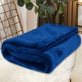 thumbnail image 1 of Sherpa Fleece Throw Blanket 30" x 40" Reversible Plush Fluffy Large Big Blanket Lattice Flannel Blankets for Sofa Couch Bed (Grey-Soft Blue, 30"*40"), 1 of 4