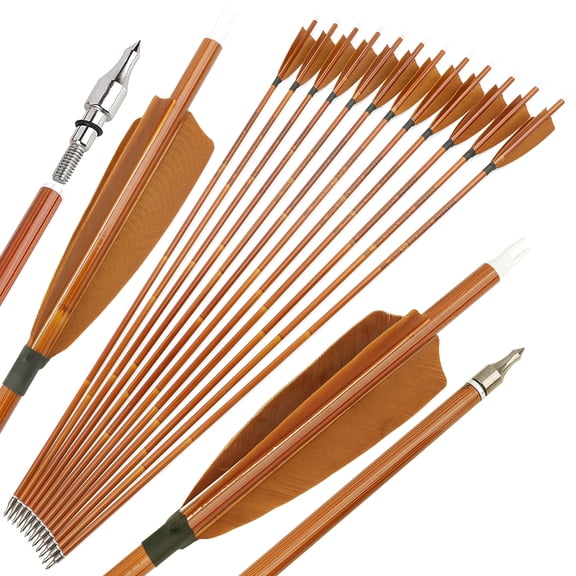 limaity 12pcs 30" Archery Carbon Arrows 4" Feather SP500 Recurve Bow Target Hunting