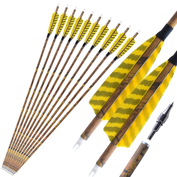 limaity Archery 30" Carbon Arrows SP500 4" Feather Compound Recurve Bow Hunting 6/12PCS