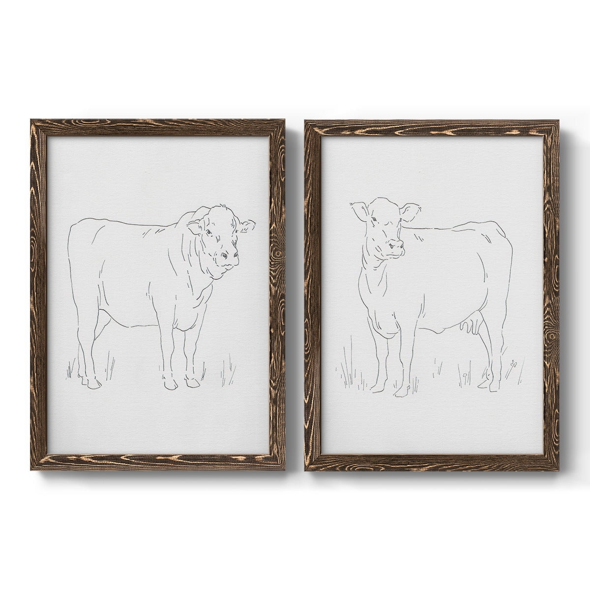 Limousin Cattle I - Premium Framed Canvas 2 Piece Set - Ready to Hang