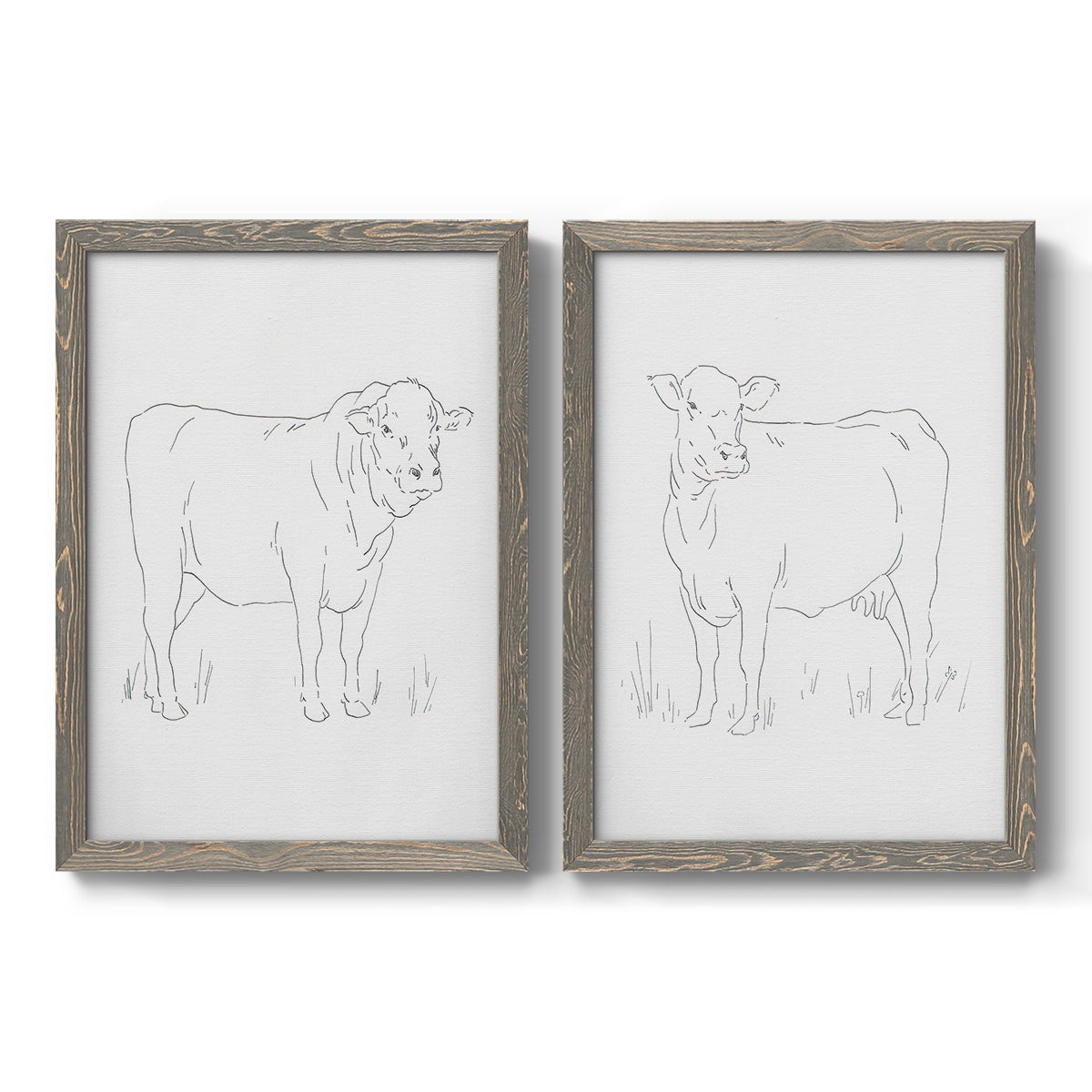 Limousin Cattle I - Premium Framed Canvas 2 Piece Set - Ready to Hang