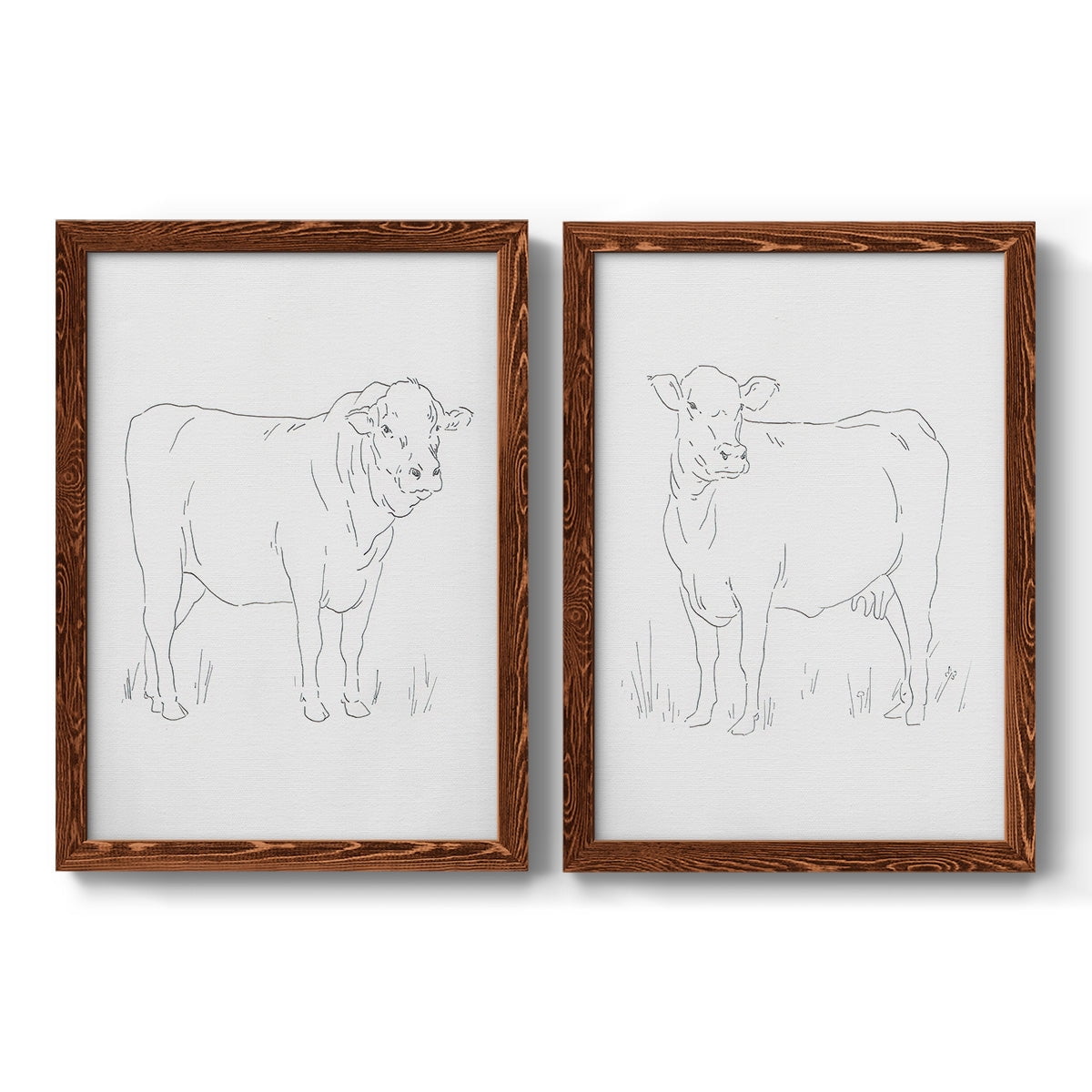 Limousin Cattle I - Premium Framed Canvas 2 Piece Set - Ready to Hang