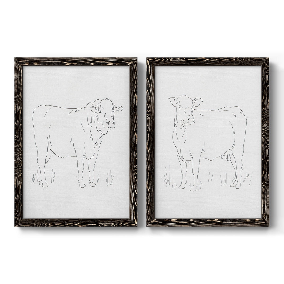 Limousin Cattle I - Premium Framed Canvas 2 Piece Set - Ready to Hang