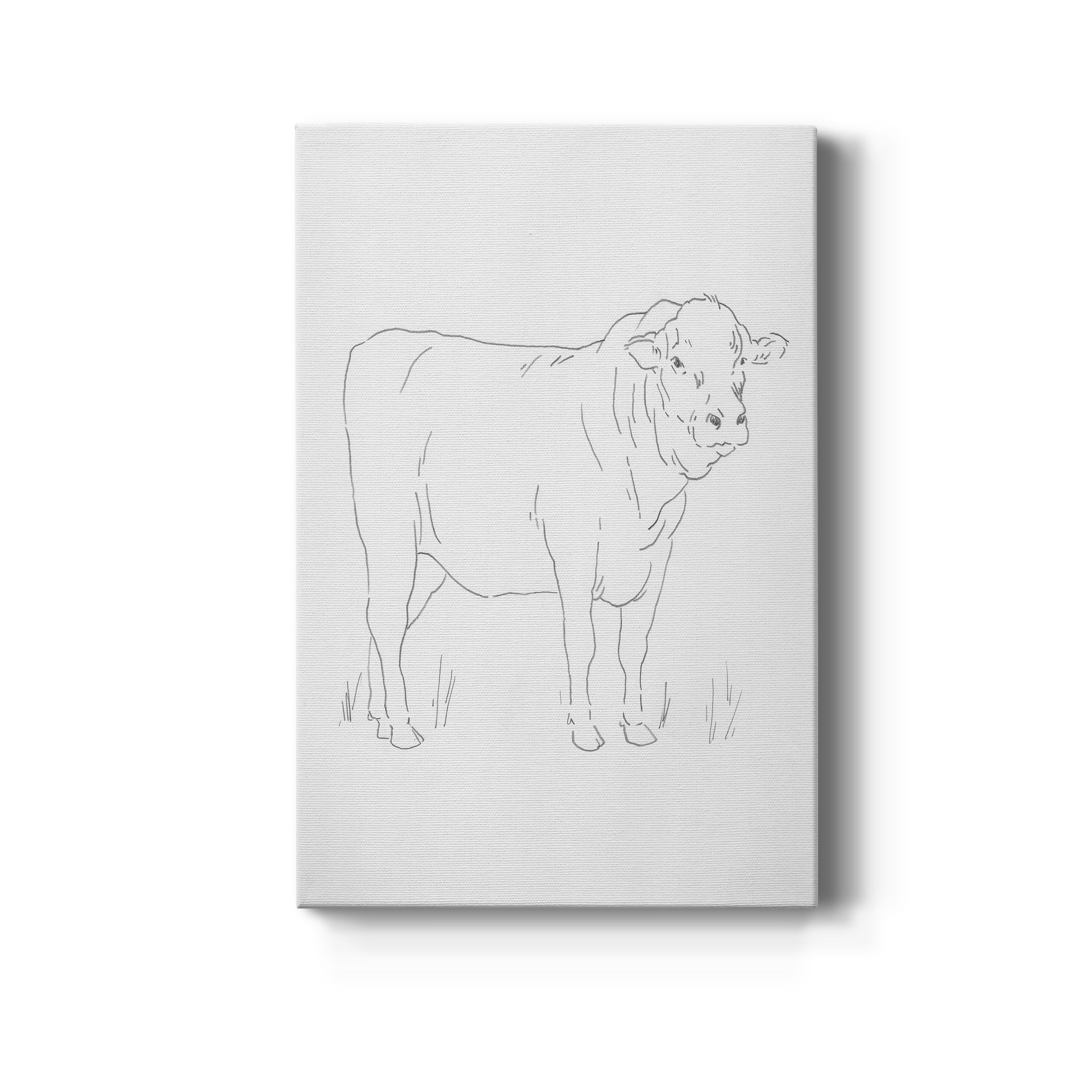 Limousin Cattle I Premium Gallery Wrapped Canvas - Ready to Hang