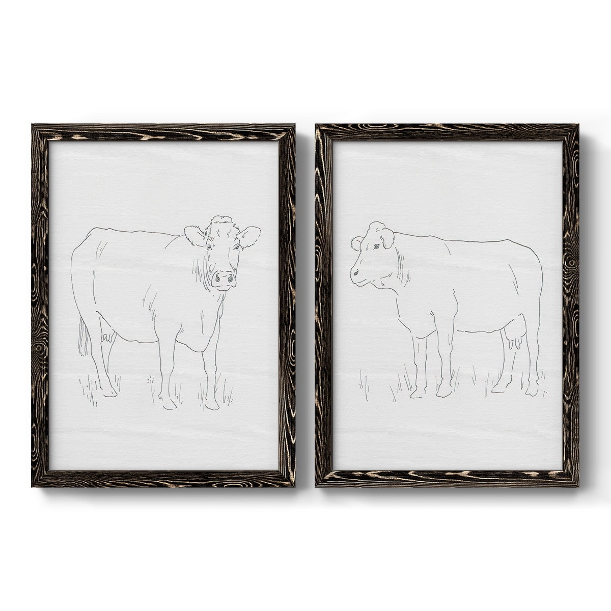 Limousin Cattle III - Premium Framed Canvas 2 Piece Set - Ready to Hang