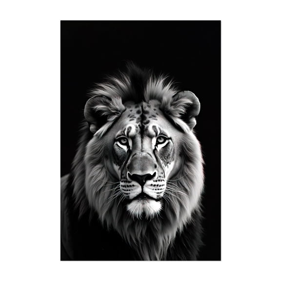 lion - Photography Animal Black and White Wildlife Portrait Nature Moody Tiger Unframed Wall Art Print 16 x 24 inches