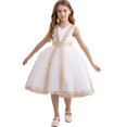 thumbnail image 1 of little Girl Flower Lace A-line Wedding Party Dresses Kids Pageant Birthday Formal Dress, 1 of 6