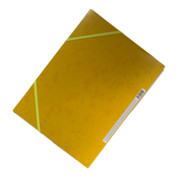 lixuesong A 4 File Organiser with Elastic Closure File Folder Sorting Folder Document Organisers Documents Folders For Office