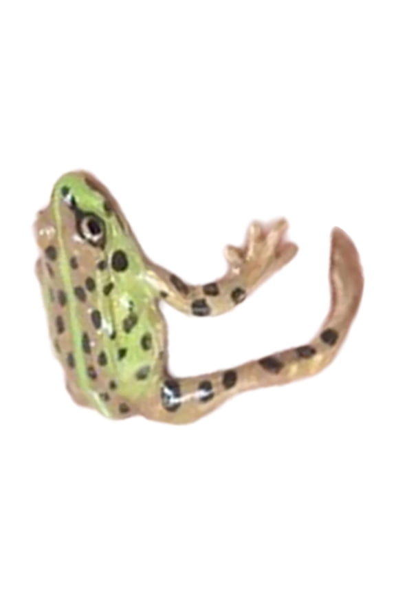 Fashionable Frog Rings Adjustable Open Rings High Polish Alloy Jewelry for Men and Women Stylish Party Ornament