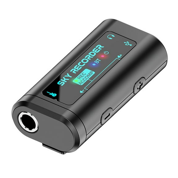 lixuesong Professional Digital Voice Recorder Playback Music Player Noise Reduction Sound Recorder Musical Instrument Recorder