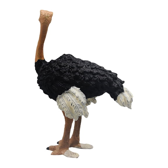 lixuesong Realistic Ostrichs Figurines Educational Learning Toy Ostrichs Model Home Decorations Wildlife Animals Figures Gifts