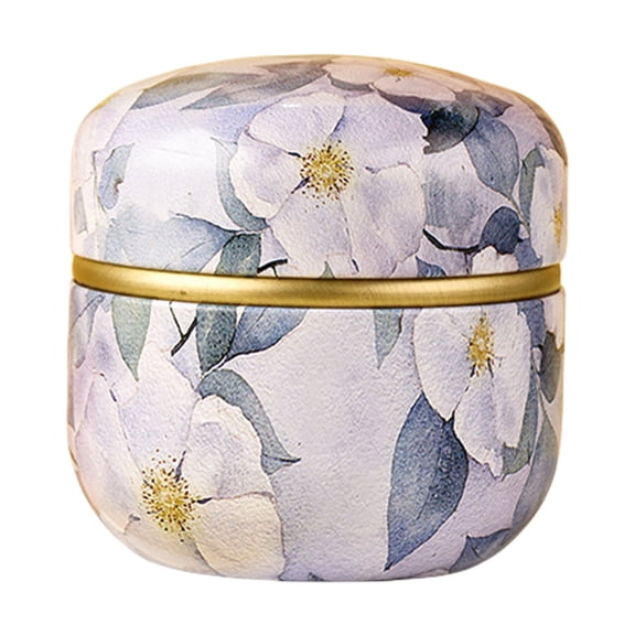 lixuesong Rusts Resistant Tinplate Teas Canister Portable Metal Storage Box Sealed Jar For Teas Candy Snacks Coffee Small Tin