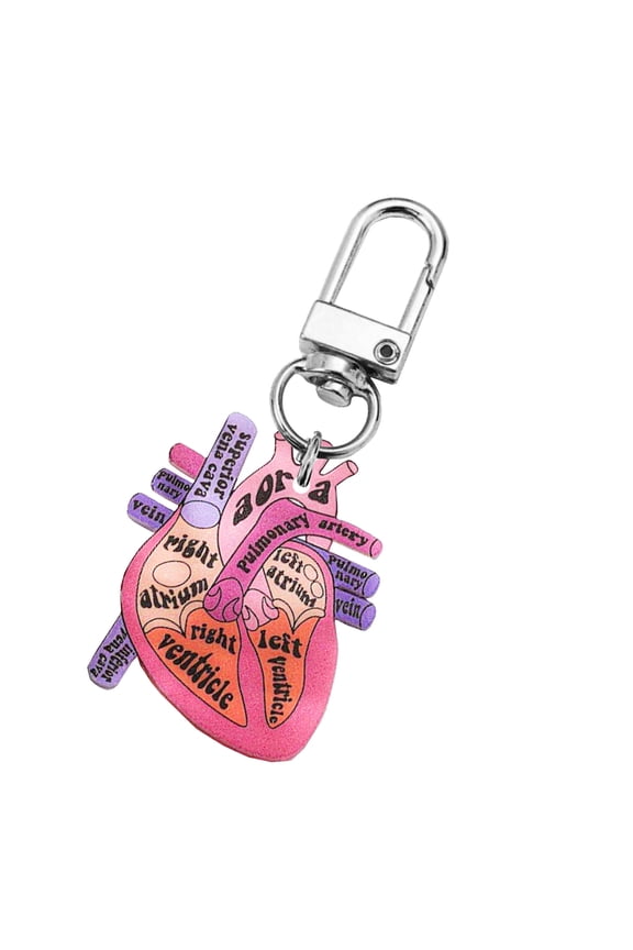 Sturdy Acrylic Heart Schematic Keychain Unique Human Heart Keychain for Scientists and Those Interested in Biology