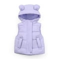 thumbnail image 1 of lkfuzj Baby Boys Girls Hooded Puffer Vest Winter Lightweight Sleeveless Pocket Bear ears Zipper Up+Button Jacket Kids Fashion Cute Solid Color Windproof Jacket Hooded Coat(1-7 Years) Purple, 1 of 7