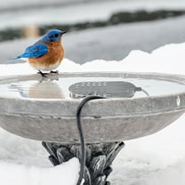 lkoopy Bird Bath Heater 250W Aluminum Cast Submersible Poultry Waterer Heater Winter Ice Melter Thermostatic Control for Bird Horse Cow