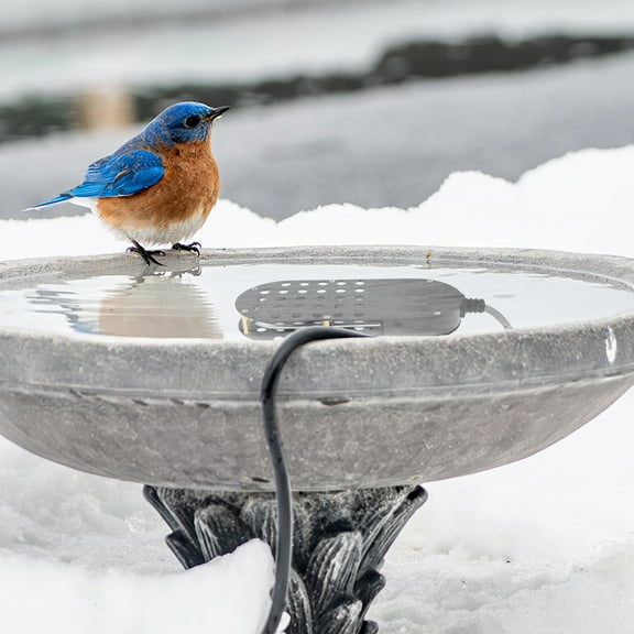 lkoopy Bird Bath Heater 250W Aluminum Cast Submersible Poultry Waterer Heater Winter Ice Melter Thermostatic Control for Bird Horse Cow