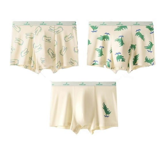 lnmuld 3PCS Boys Cotton Boxer Briefs Underwear Soft Comfortable Briefs Trunks Multipack for Kids Play Daily Wear Size:10-11 Years