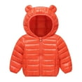 thumbnail image 1 of lnmuld Boys Winter Jacket Solid Color Winter Jacket Lightweight Down Coat for and Young Children with Warm Thermal Insulation Size:3-4 Years, 1 of 3