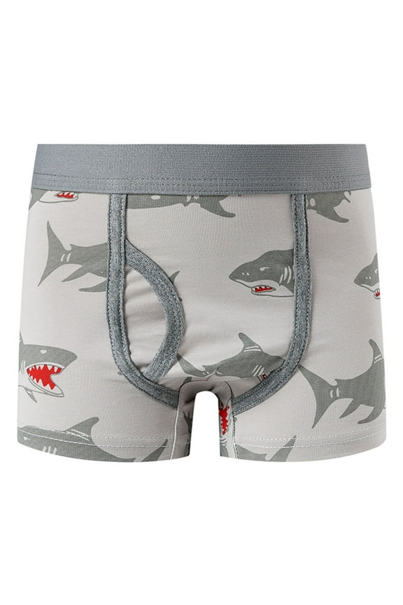 lnmuld Cartoon Character Boys Underwear Soft Breathable Comfortable Stretch Fit Everyday Wear Kids Briefs Size:1-3year