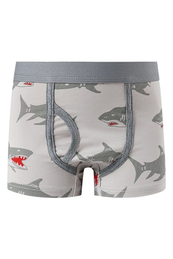 lnmuld Cartoon Character Boys Underwear Soft Breathable Comfortable Stretch Fit Everyday Wear Kids Briefs Size:4-5year