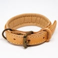 thumbnail image 1 of logical leather padded leather dog collar - brown - m, 1 of 4