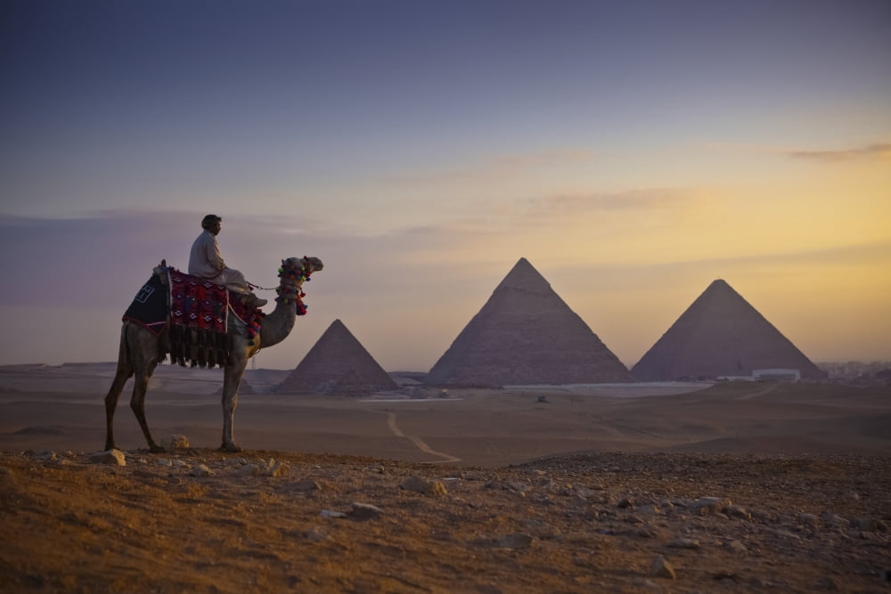 A lone camel and rider stand in front of the setting sun with the great pyramids behind them Giza Egypt Canvas Art - Matt Brandon Design Pics (38 x 24)