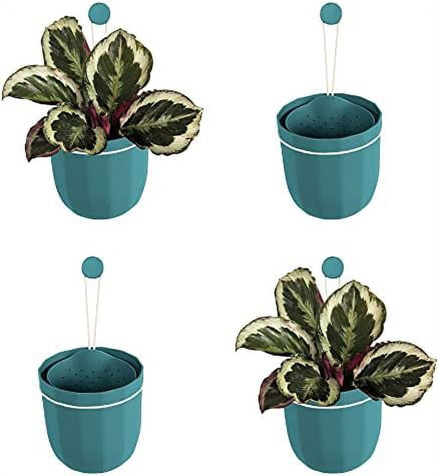 loop hanging wall planter, indoor flowerpot, hanging planter for indoor