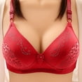 thumbnail image 1 of loopsun Womens Plus Size Bra,Woman's Embroidered Glossy Comfortable Breathable Bra Underwear No Rims, 1 of 5