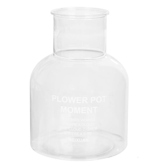 lulshou Flower Vase Transparent Hydroponic Small Potted Plant Pots, Indoor Living Room Desktop Transparent Hydroponic Plastic Flower Pots, A Must for Green Plant Lovers, Transpare