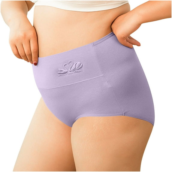 lulshou Womens Underwear Plus Size High Waisted Solid Color Panties Soft Breathable Comfortable Briefs Underwear, Purple, XL