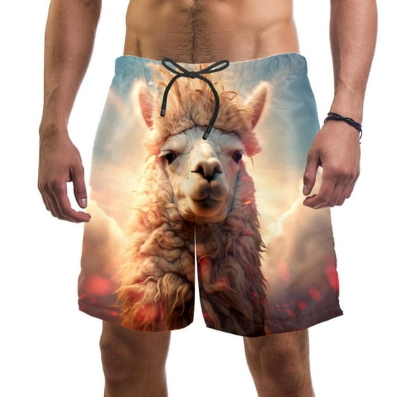 luoweisi Men's Beach Shorts Quick Dry Swim Trunks with Mesh Lining Alpaca 2XL