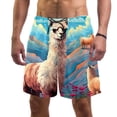 thumbnail image 1 of luoweisi Men's Beach Shorts Quick Dry Swim Trunks with Mesh Lining Alpaca L, 1 of 5