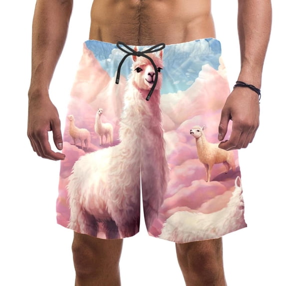 luoweisi Men's Beach Shorts Quick Dry Swim Trunks with Mesh Lining Alpaca L