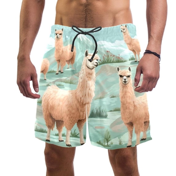 luoweisi Men's Beach Shorts Quick Dry Swim Trunks with Mesh Lining Alpaca L
