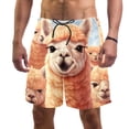 thumbnail image 1 of luoweisi Men's Beach Shorts Quick Dry Swim Trunks with Mesh Lining Alpaca L, 1 of 5
