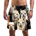 thumbnail image 1 of luoweisi Men's Beach Shorts Quick Dry Swim Trunks with Mesh Lining Alpaca M, 1 of 5