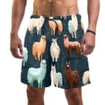 thumbnail image 1 of luoweisi Men's Beach Shorts Quick Dry Swim Trunks with Mesh Lining Alpaca S, 1 of 5
