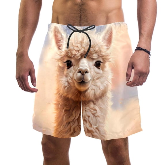 luoweisi Men's Beach Shorts Quick Dry Swim Trunks with Mesh Lining Alpaca S
