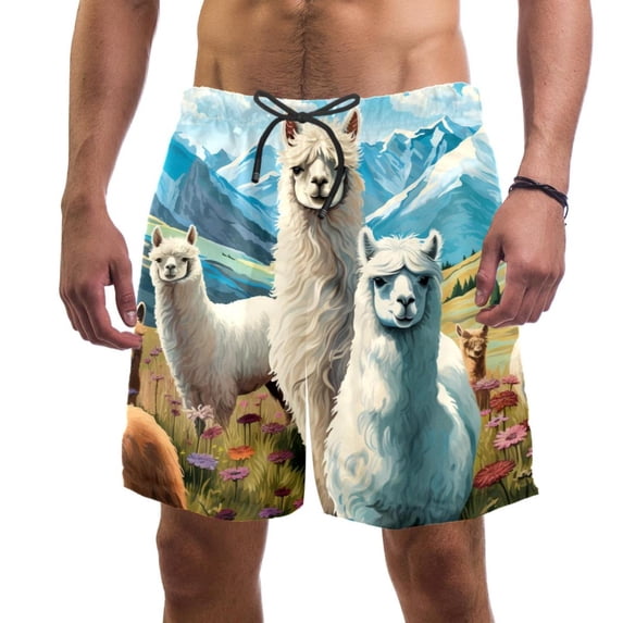 luoweisi Men's Beach Shorts Quick Dry Swim Trunks with Mesh Lining Alpaca XL