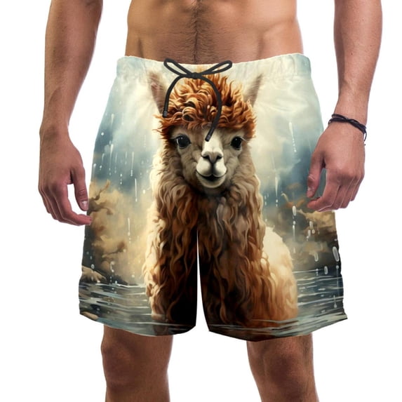 luoweisi Men's Beach Shorts Quick Dry Swim Trunks with Mesh Lining Alpaca XL