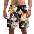 thumbnail image 1 of luoweisi Men's Beach Shorts Quick Dry Swim Trunks with Mesh Lining Cartoon Cat M, 1 of 5