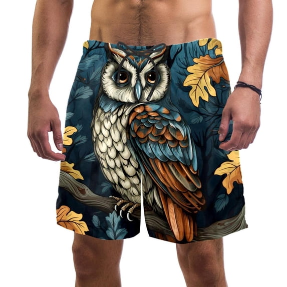 luoweisi Men's Beach Shorts Quick Dry Swim Trunks with Mesh Lining Cartoon Owl L