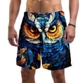 thumbnail image 1 of luoweisi Men's Beach Shorts Quick Dry Swim Trunks with Mesh Lining Cartoon Owl L, 1 of 5