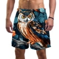 thumbnail image 1 of luoweisi Men's Beach Shorts Quick Dry Swim Trunks with Mesh Lining Cartoon Owl L, 1 of 5