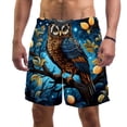 thumbnail image 1 of luoweisi Men's Beach Shorts Quick Dry Swim Trunks with Mesh Lining Cartoon Owl XL, 1 of 5